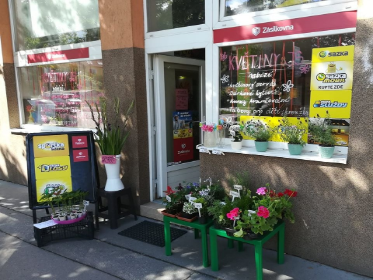 Pobočka Brno, Gajdošova 56 a (Květiny JS) Pobočka Brno, Gajdošova 56 a (Květiny JS)